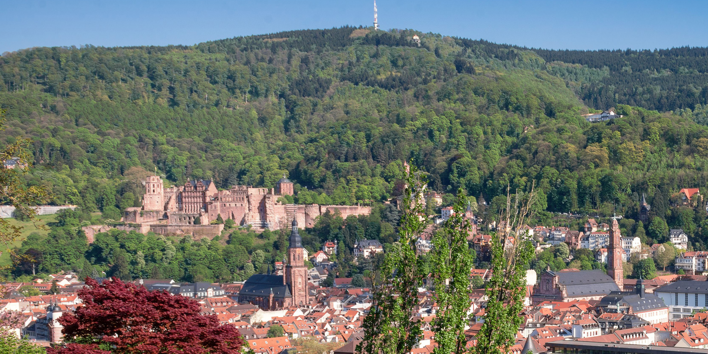 Tourismus Service Bergstrasse Burgensteig Headerbild Heidelberger Schloss Blick neu